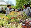 Jardin Val De Saone Best Of Edition Chalon Sur Sa´ne