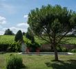 Jardin Val De Saone Charmant Le Paradis De Marie Hotel Reviews France Saint Amour