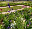 Le Grand Jardin Beau the Garden Of the Grand Trianon – Versailles – tourist