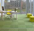 Le Jardin De Berthe Lyon Nouveau Mercial Carpet Tile & Resilient Flooring