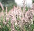 Le Jardin De Marie Best Of Les Jardins Remarquables Du Berry