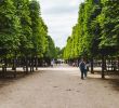 Le Jardin De Marie Charmant the Jardin Des Tuileries In Paris A Royal Gem