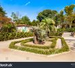 Le Jardin Des Plantes Montpellier Beau Royalty Free Montpellie Stock S & Vectors