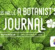 Le Jardin Des Plantes Montpellier Génial Francis Hallé A Botanist S Journal