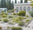 Le Jardin Des Plantes Montpellier Luxe Jardin Des Plantes De Montpellier