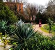 Le Jardin Des Plantes toulouse Élégant Museum Of Natural History toulouse 2020 All You Need to