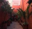 Le Jardin Marrakech Génial Angsana Spa Morocco Marrakech 2020 All You Need to Know