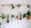 Le Jardin Suspendu Génial Diy Hanging Plant Wall with Macrame Planters