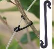 Magazine De Jardinage Frais Acheter 100 Plantes En Plastique Clips De Jardin Outils Grafting Clips Graft Pruner Fixation Vignes De Plante Jardin Légume Vrille Clip De $2 43 Du