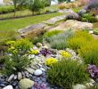 Massif Paysager Best Of Un Jardin Breton D Agapanthes Et D Hortensias Bleus