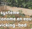 Mon Jardin En Permaculture Beau 132 Best Permaculture Images