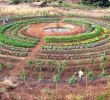 Mon Jardin En Permaculture Élégant Garden S Don T Need to Be Rectangular