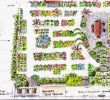 Mon Jardin En Permaculture Inspirant Permaculture