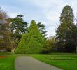 Nature Jardin Élégant File Jard­n Botánico Christchurch Nueva Zelanda