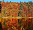 Nature Jardin Frais 14 Amazing Places to See the Autumn Leaves In Europe Lazytrips