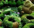 Nature Jardin Frais Want to Make some Diy Mossy Pots with Us It S A Pretty Easy