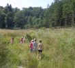 Nature Jardin Inspirant Balades Et Découvertes Nature En 2019 En F´ret D Anlier