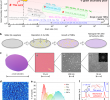 Nature Jardin Nouveau Engineering Grain Boundaries at the 2d Limit for the