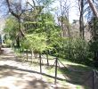 Nature Jardin Nouveau File Madrid A V U Jardin Del Campo Del Moro Panoramio