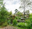 Nature Jardin Nouveau Japanese Garden On the island Of Versailles – Nantes