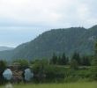 Nature Jardin Nouveau Mont Tremblant National Park