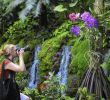 Nature Jardin Nouveau Singapore Botanic Gardens Colorfully Connects People with