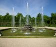 Nature Jardin Unique File Le Chateau De Versailles Le Jardin 85 Jpg Wikimedia