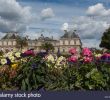 Paris Jardin Du Luxembourg Nouveau City View Paris with Palais Du Luxembourg Stock S