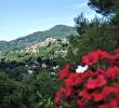 Paysage Jardin Inspirant Beauvallon Du Loup Specialty B&b Reviews tourrettes Sur