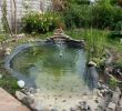 Paysager son Jardin Frais Bassin D Eau De Jardin