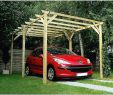 Pergola Bois Brico Depot Luxe Montage Carport Bois Brico Depot – Gamboahinestrosa