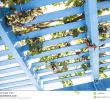 Pergola Bois Génial Blue Painted Wooden Pergola Lattice with Vines and Grapes