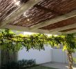 Pergola Brico Depot Arrivage 2020 Génial Bamboo Ceilings and Shading In 2020