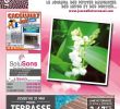 Pergola Brico Frais Calaméo Journal Le tournesol Mai 2017