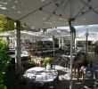 Pergolas De Jardin Beau Brunnhof Reviews Food & Drinks In Berne Berne– Trip