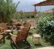 Pergolas De Jardin Beau Tigminou Guest House In Ouarzazate