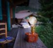 Petite Table De Jardin Luxe Timebulb