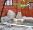 Portique De Jardin Beau épinglé Sur Créateur Jardins Inspiration Japonaise