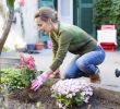 Refaire son Jardin Charmant 7 Idées D Aménagement Pour Jardin Pas Ch¨res