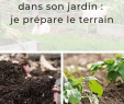 Refaire son Jardin Charmant Ment Créer Un Potager Dans son Jardin Nos Conseils Pour