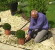 Refaire son Jardin Génial Habiller Un Gravier Avec Des Plantes