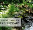 Refaire son Jardin Luxe Ment Faire son Jardin D Eau Trucs Et astuces Pour