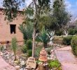 Refaire son Jardin Nouveau Sawadi Ecolodge B&b Tajante Maroc Tarifs 2020 Mis  