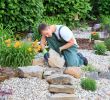 Refaire son Jardin Unique Pourquoi Faire Appel   Un Paysagiste Pour Refaire son Jardin