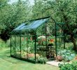 Serre De Jardin Polycarbonate Beau Green B&q 6x8 toughened Safety Glass Greenhouse