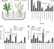 Super U Table De Jardin Nouveau Root Volatiles In Plant–plant Interactions I High Root