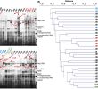 Table De Jardin Leclerc Nouveau Secretome Profiling Of Propionibacterium Freudenreichii