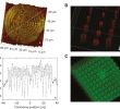 Table Terrasse Frais the Femtosecond Laser Induced Photochemistry In Silver