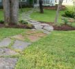 Terrassement Jardin En Pente Best Of 36 Simple and Beautiful Front Yard Pathways Landscaping