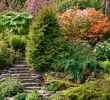 Terrassement Jardin En Pente Inspirant Un Jardin En Pente Agencer Et Aménager Un Jardin En Pente